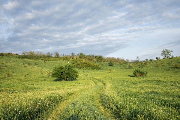 Les campings à Hyères avec accès direct à la plage