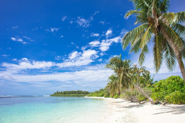 Les meilleures adresses de restauration maritime à porquerolles 2025