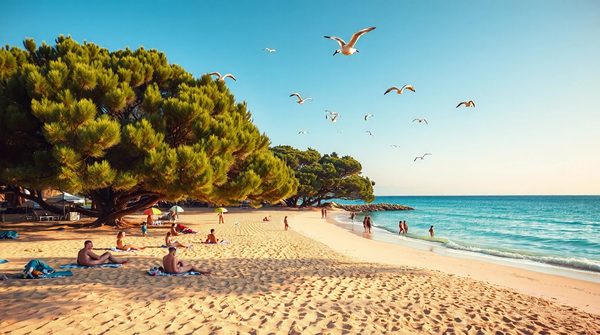 Évasion estivale au camping agon coutainville : plage et détente